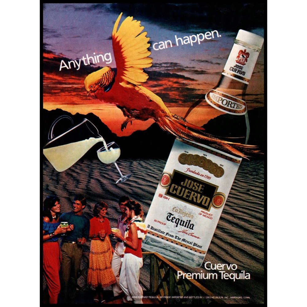 1983 Jose Cuervo Tequila Vintage Print Ad Parrot Margaritas Desert Party Photo
